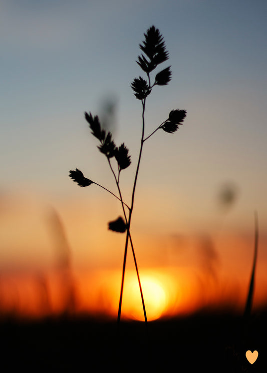 Postkarte Sonnenuntergang